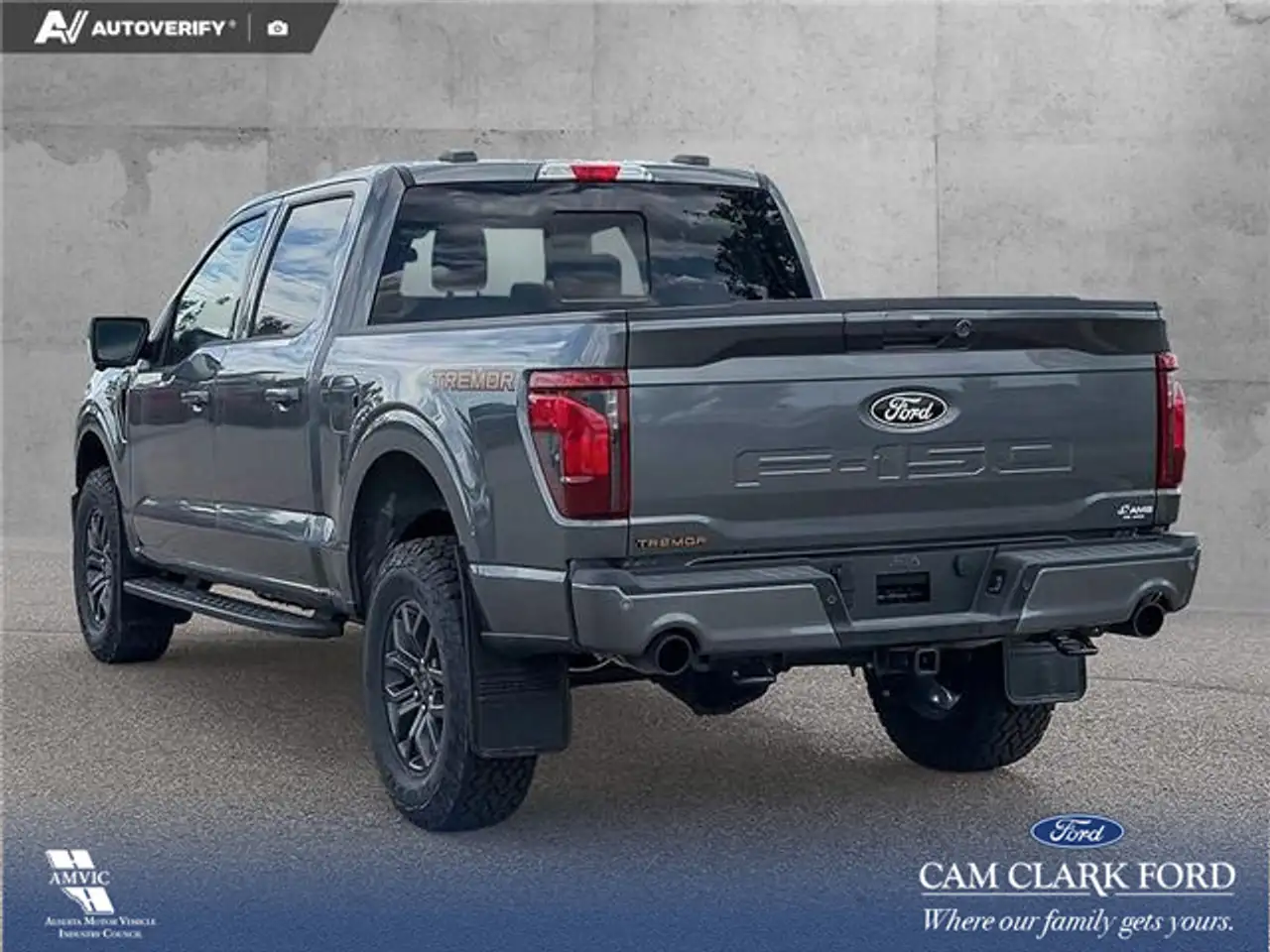 Ford F 150 fotografie Ford F 150