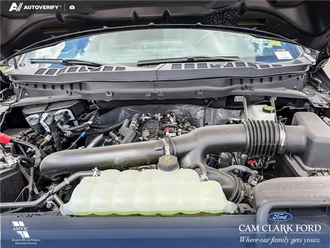 Ford F 150 fotografie Ford F 150