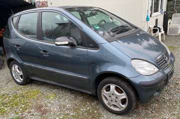 Lang Piccadilly Klima Alu
