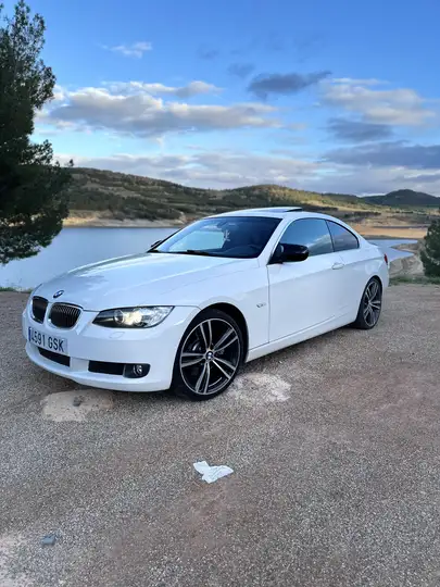 BMW Serie 3 2010