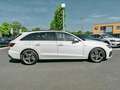 Audi A4 S-line 35 TDI Blanco - thumbnail 3