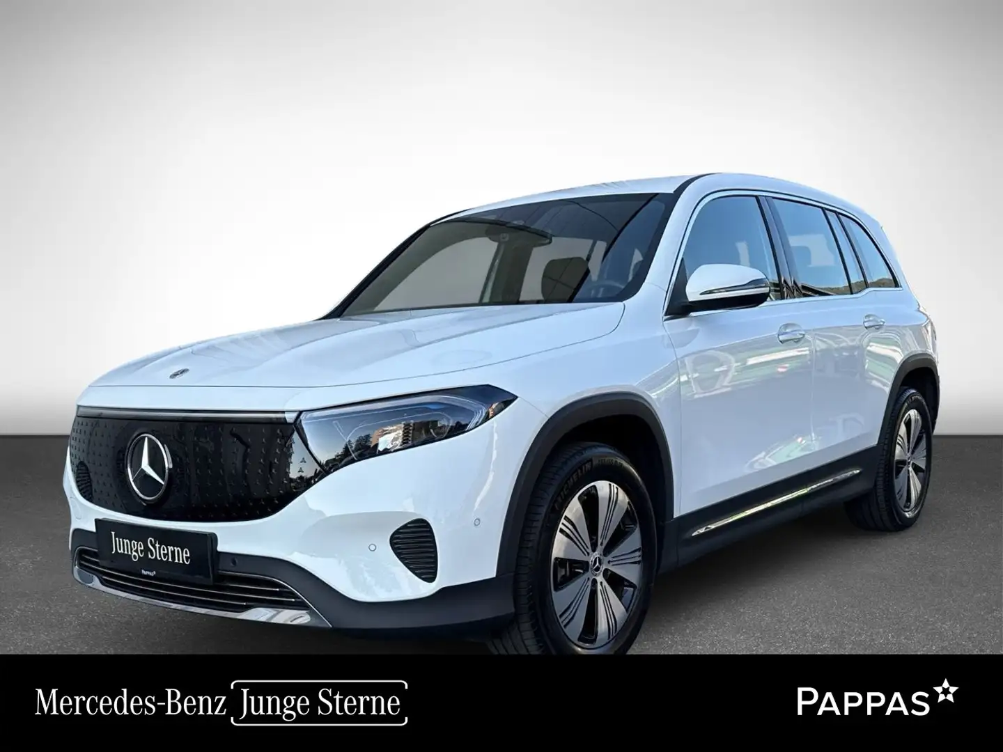 Mercedes-Benz EQB 250 + Österreich-Edition PTS Cam Distr Navi Weiß - 1
