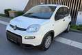 Fiat Panda 4x2 FireFly Hybrid 70 - thumbnail 1
