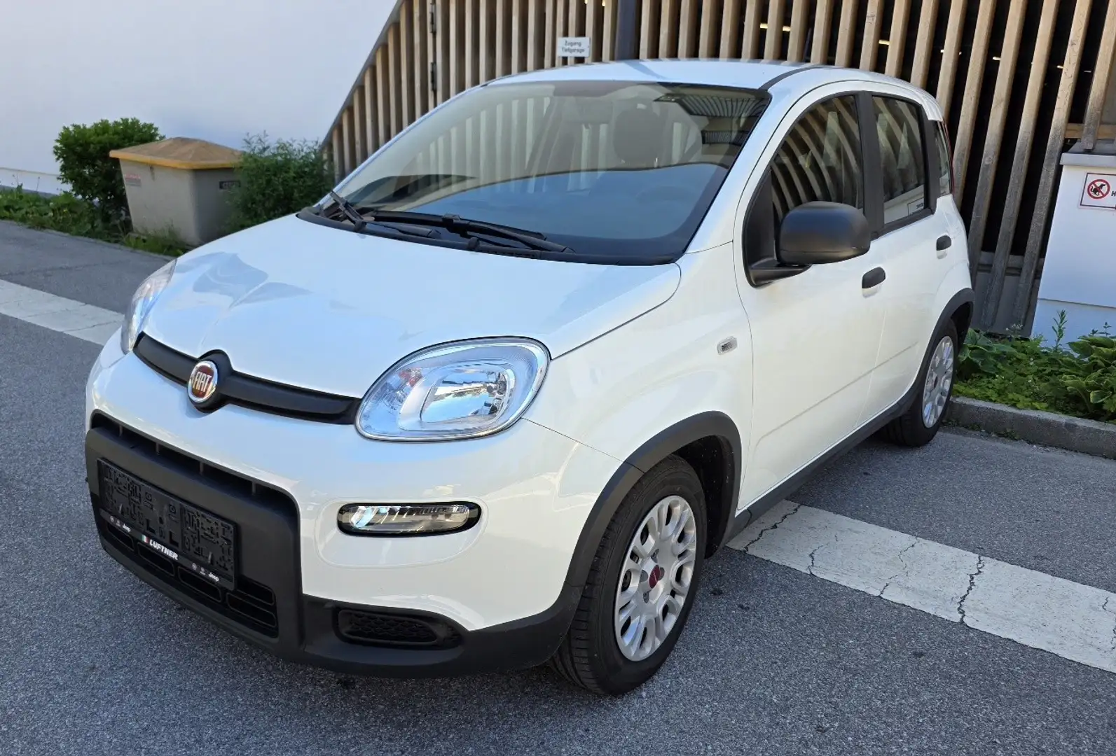 Fiat Panda 4x2 FireFly Hybrid 70 - 1