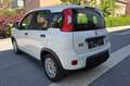 Fiat Panda 4x2 FireFly Hybrid 70 - thumbnail 7