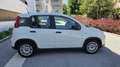 Fiat Panda 4x2 FireFly Hybrid 70 - thumbnail 10