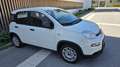 Fiat Panda 4x2 FireFly Hybrid 70 - thumbnail 3