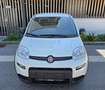 Fiat Panda 4x2 FireFly Hybrid 70 - thumbnail 2