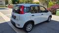 Fiat Panda 4x2 FireFly Hybrid 70 - thumbnail 9
