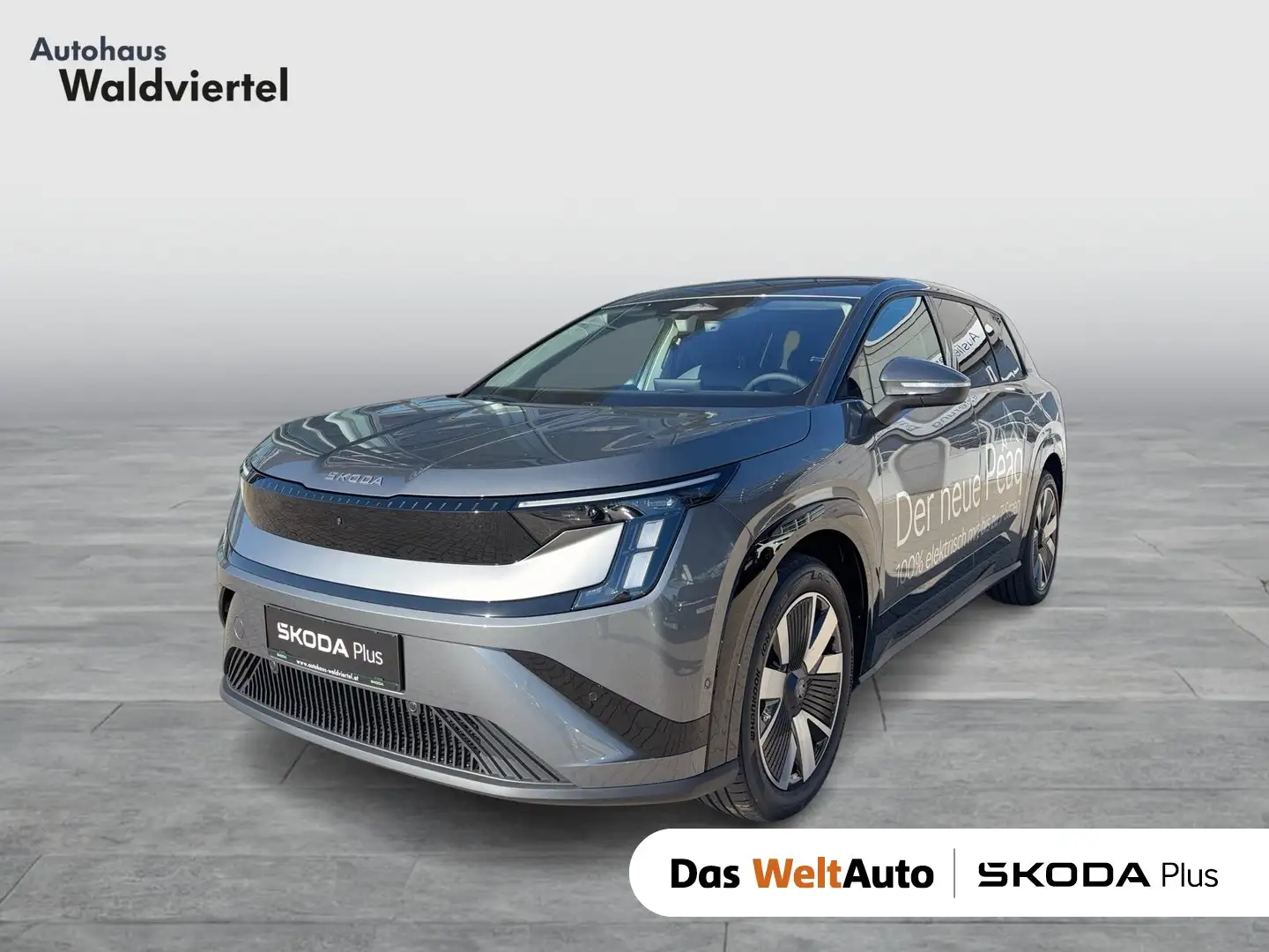 Skoda Peaq Selection 90 Grau - 1