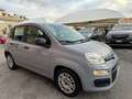 Fiat Panda 1.0 FireFly S&S Hybrid+GPL Grigio - thumbnail 1