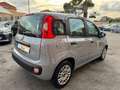Fiat Panda 1.0 FireFly S&S Hybrid+GPL Grigio - thumbnail 5
