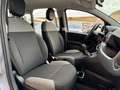 Fiat Panda 1.0 FireFly S&S Hybrid+GPL Grigio - thumbnail 13