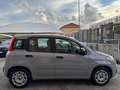 Fiat Panda 1.0 FireFly S&S Hybrid+GPL Grigio - thumbnail 4