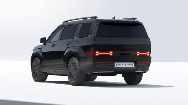 Hyundai Santa FE view 2