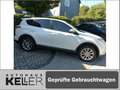 Toyota RAV 4 2.5 4x4 Hybrid Executive Weiß - thumbnail 3