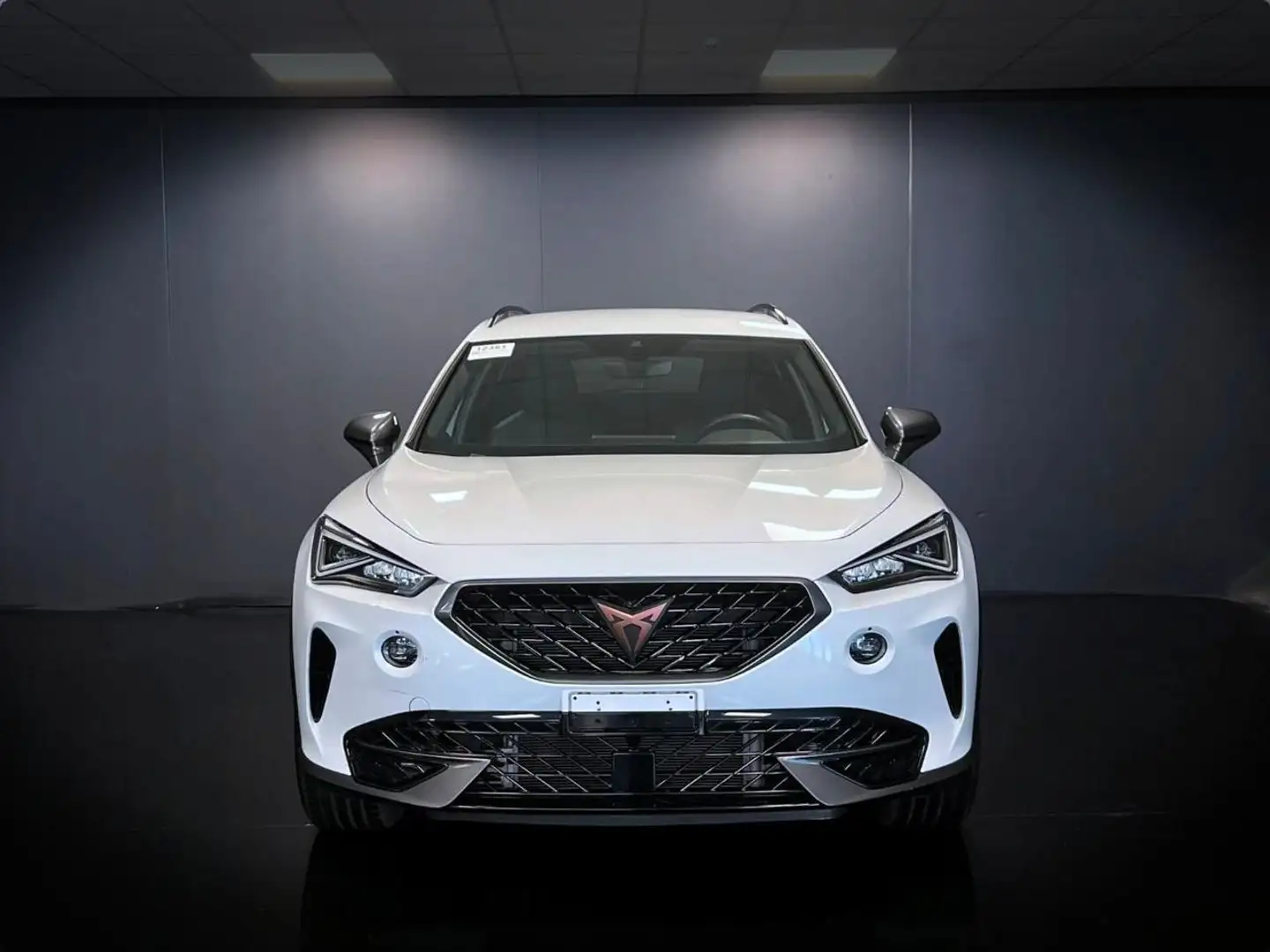 CUPRA Formentor 1.5 TSI DSG Bianco - 2