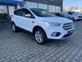 Ford Kuga Trend 1.5 Winterpaket+Einparkhilfe+Tempomat Blanc - thumbnail 4