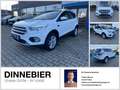 Ford Kuga Trend 1.5 Winterpaket+Einparkhilfe+Tempomat Blanc - thumbnail 1