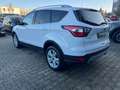 Ford Kuga Trend 1.5 Winterpaket+Einparkhilfe+Tempomat Blanc - thumbnail 7