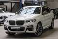 BMW X3 M40d Sport-Aut/HARMAN/PANORAMA/KAMERA/ANHÄNGER Weiß - thumbnail 6