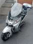 Suzuki Burgman 250 Business 250 Argento - thumbnail 1