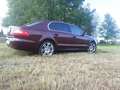 Skoda Superb Superb 1,8 TSI Elegance Elegance Rot - thumbnail 2