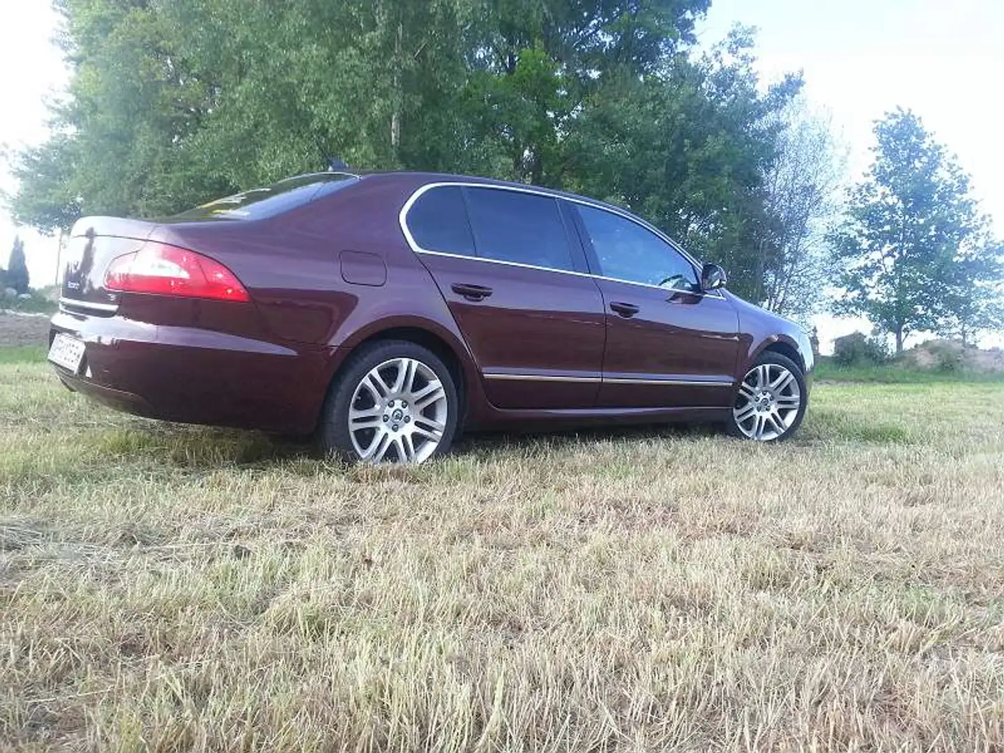 Skoda Superb Superb 1,8 TSI Elegance Elegance Rot - 2