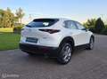 Mazda CX-30 2.0 e-SkyActiv-G M Hybrid Comfort/NAVI/CARPLAY Weiß - thumbnail 4