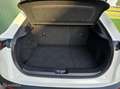 Mazda CX-30 2.0 e-SkyActiv-G M Hybrid Comfort/NAVI/CARPLAY Weiß - thumbnail 9