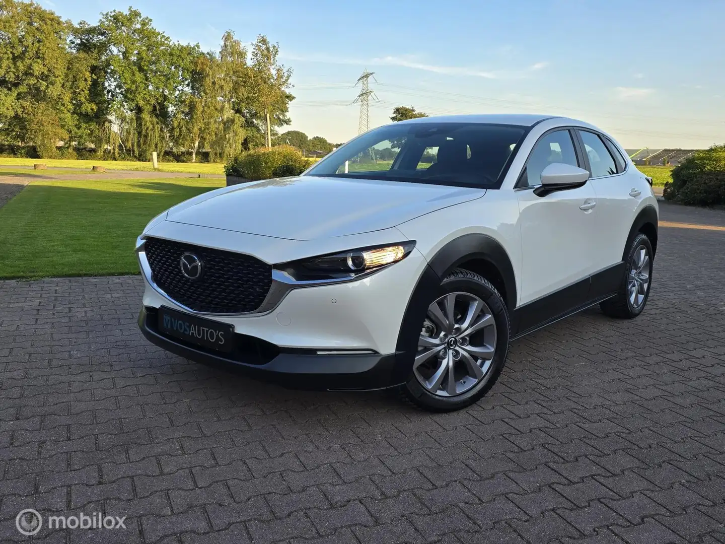 Mazda CX-30 2.0 e-SkyActiv-G M Hybrid Comfort/NAVI/CARPLAY Weiß - 1