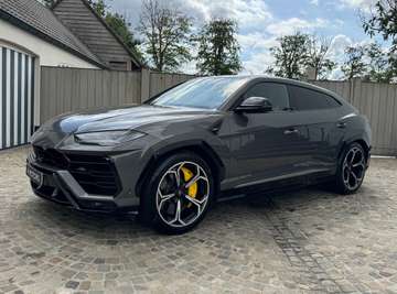 Urus