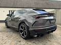 Lamborghini Urus Urus Gris - thumbnail 4
