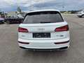 Audi Q5 50 TFSI e PHEV quattro sport Weiß - thumbnail 6