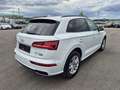 Audi Q5 50 TFSI e PHEV quattro sport Weiß - thumbnail 5