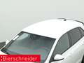 Volkswagen Polo 1.0 TSI RLine IQ.DRIVE NAVI KAMERA ACC Weiß - thumbnail 19