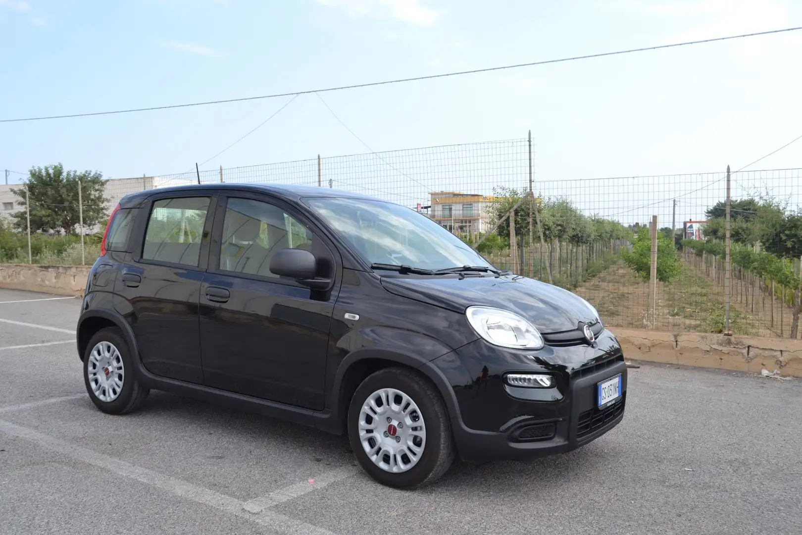 Fiat Panda 1.0 firefly hybrid s&s 70cv - 1