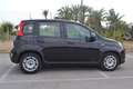 Fiat Panda 1.0 firefly hybrid s&s 70cv - thumbnail 2