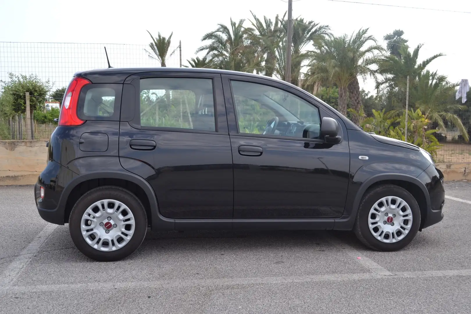 Fiat Panda 1.0 firefly hybrid s&s 70cv - 2