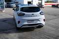 Ford Puma ST-Line X LED/Pano/Nav/WinPak Weiß - thumbnail 4