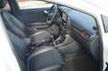 Ford Puma ST-Line X LED/Pano/Nav/WinPak Weiß - thumbnail 9
