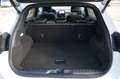 Ford Puma ST-Line X LED/Pano/Nav/WinPak Weiß - thumbnail 19