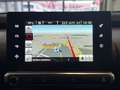 Citroen C4 Cactus Shine/ KAMERA/NAVI/8.FACH BEREIFT Grau - thumbnail 15