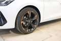 CUPRA Leon 1.5 eTSI DSG Weiß - thumbnail 26