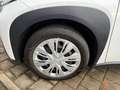 Toyota Aygo X x-play Weiß - thumbnail 15