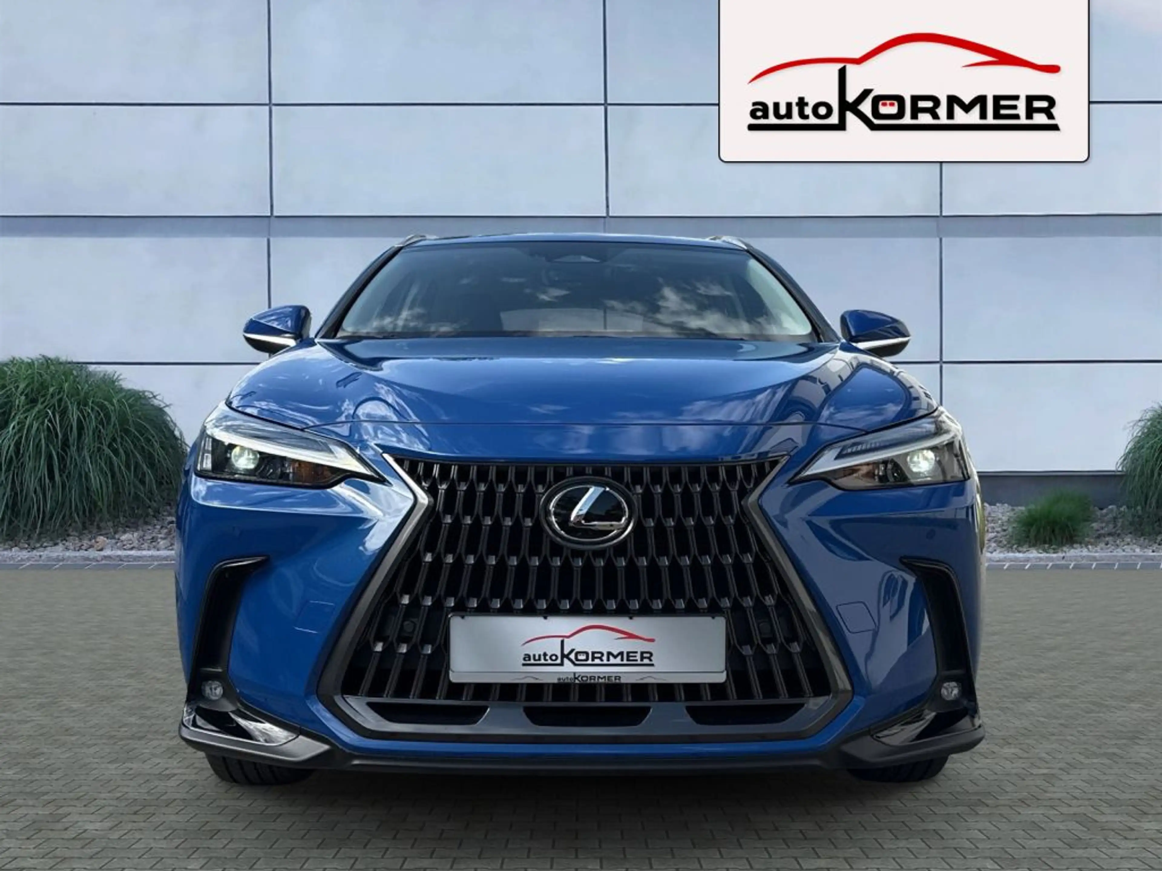 Lexus NX 350h E-FOUR Business CarPlay,LED,Kamera,el.Heckklappe — photo 7