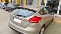 Ford Focus 1.5TDCi Trend+ 120 Beige - thumbnail 10