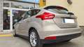 Ford Focus 1.5TDCi Trend+ 120 Beige - thumbnail 7