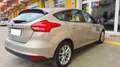 Ford Focus 1.5TDCi Trend+ 120 Beige - thumbnail 11