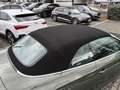 Audi A5 Cabriolet 40 TDI 2x S line AHK/ACC/Matrix/Navi Grün - thumbnail 19